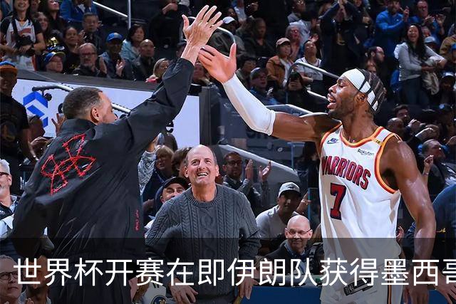 世界杯开赛在即伊朗队获得墨西哥签证 计划启程前往驻地
